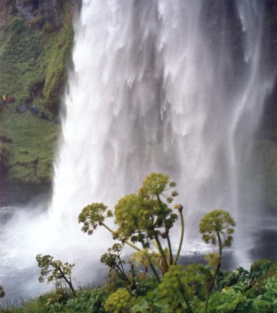 Zdjęcie z Islandii - Seljalandsfoss