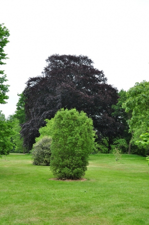 Zdjęcie z Wielkiej Brytanii - Kew Gardens