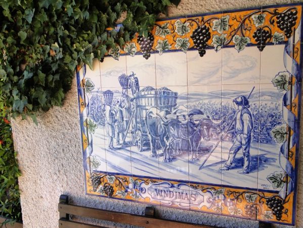 Zdjęcie z Portugalii - 