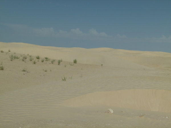 Zdjęcie z Tunezji - Sahara