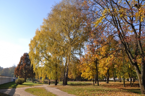 Zdjęcie z Polski - Park wokół pałacu