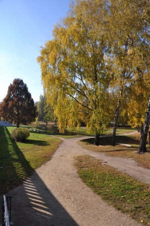 Zdjęcie z Polski - Park wokół pałacu