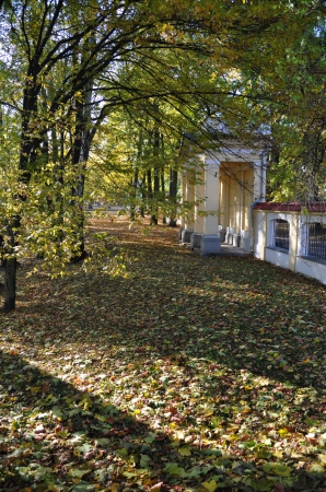 Zdjęcie z Polski - Park wokół pałacu