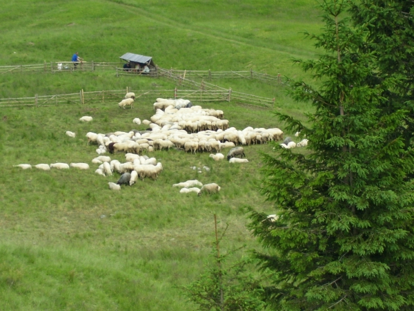Zdjęcie z Polski - 