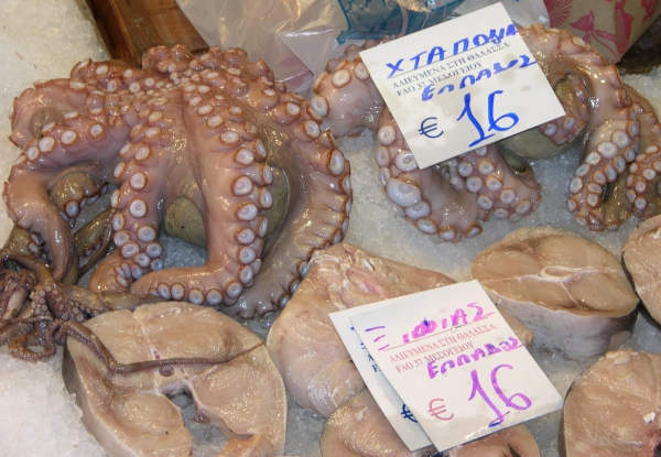 Zdjęcie z Grecji - 