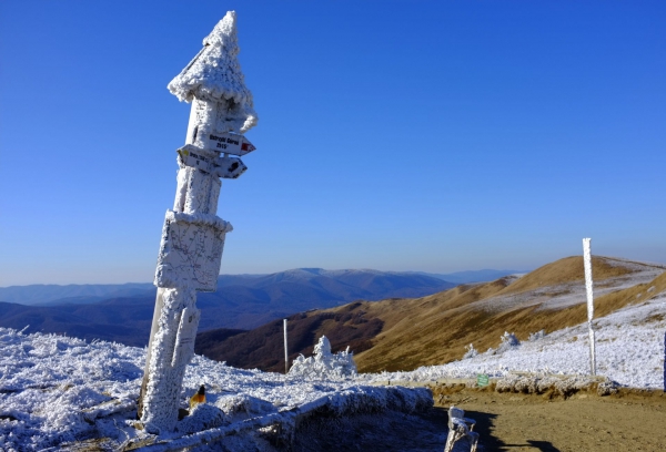 Zdjecie - Polska - Bieszczady