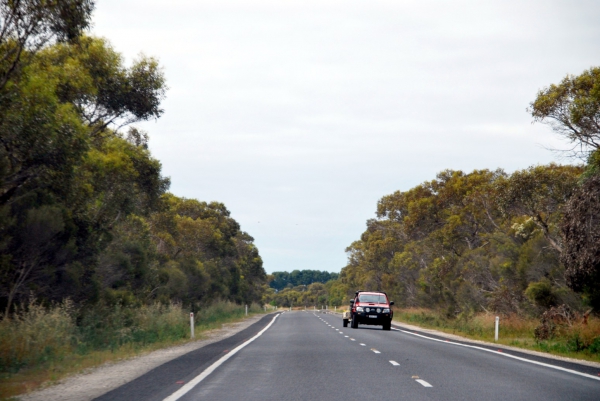 Zdjęcie z Australii - W drodze do Naracoorte