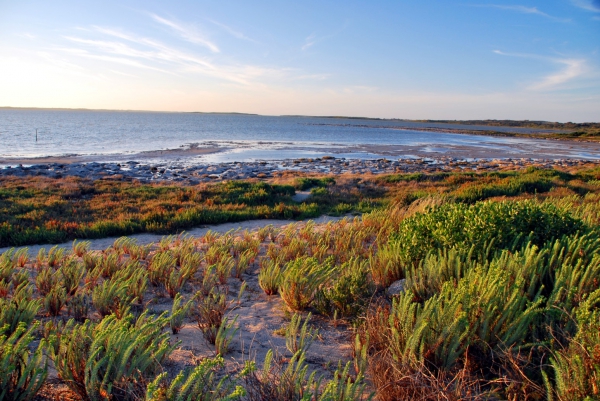 Zdjęcie z Australii - Brzegi laguny Coorong