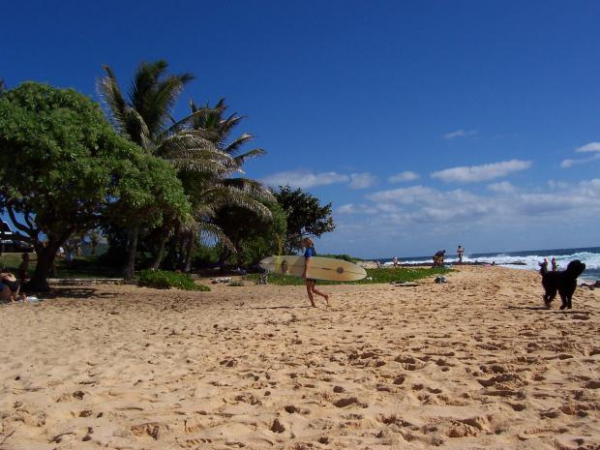 Zdjęcie ze Stanów Zjednoczonych - oahu, sandy beach