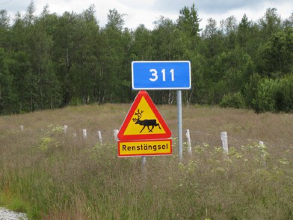 Zdjęcie ze Szwecji - 