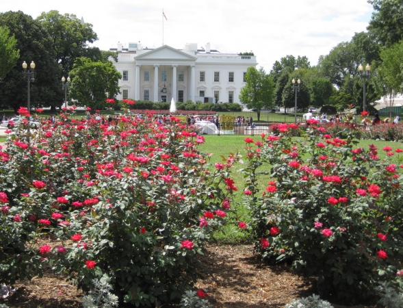 Zdjecie - Stany Zjednoczone - Washington