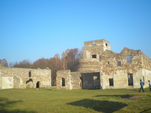 Zdjecie - Polska - Samsonów