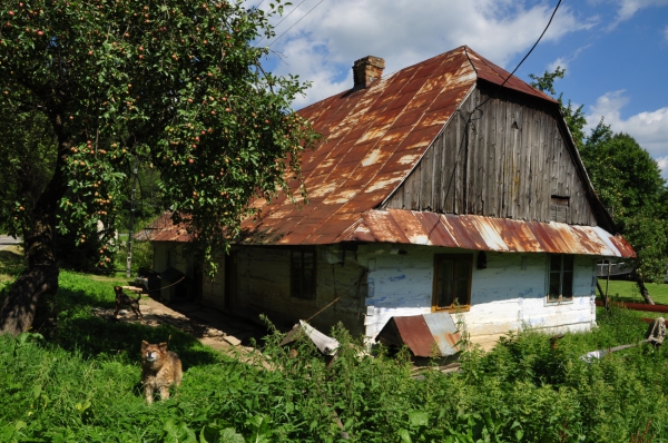 Zdjęcie z Polski - Stara chata w Cisnej