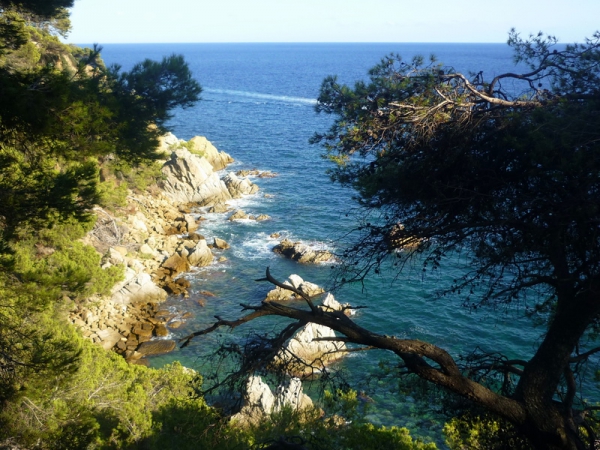 Zdjęcie z Hiszpanii - 