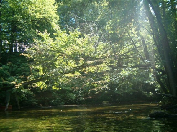 Zdjecie - Polska - Mazury