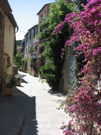 Zdjęcie z Francji - Grimaud.