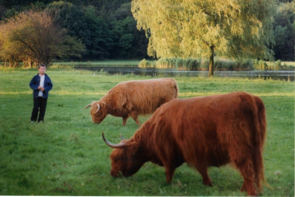 Zdjęcie z Holandii - Zaandam - park miejski