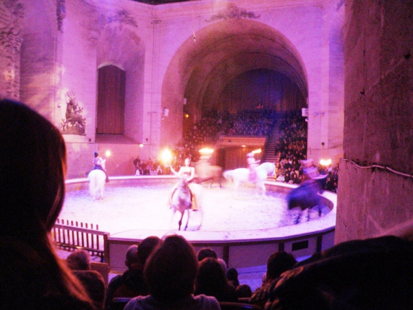 Zdjęcie z Francji - Pokaz Teatralny z Końmi 
