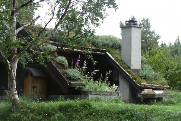 Zdjęcie z Norwegii - miejsce na grill