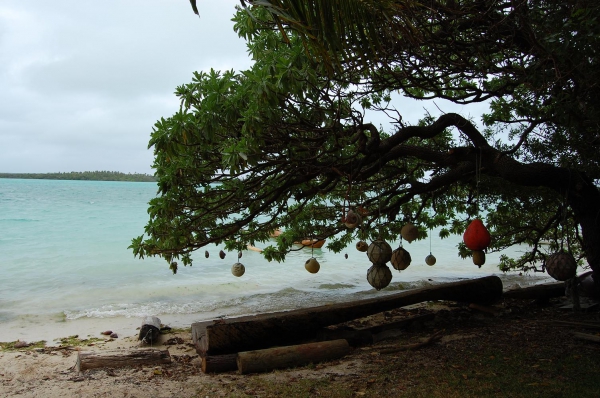 Zdjęcie z Nowej Kaledonii - Isle of Pines