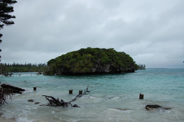 Zdjęcie z Nowej Kaledonii - Isle of Pines