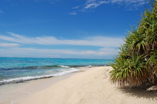 Zdjęcie z Vanuatu - 