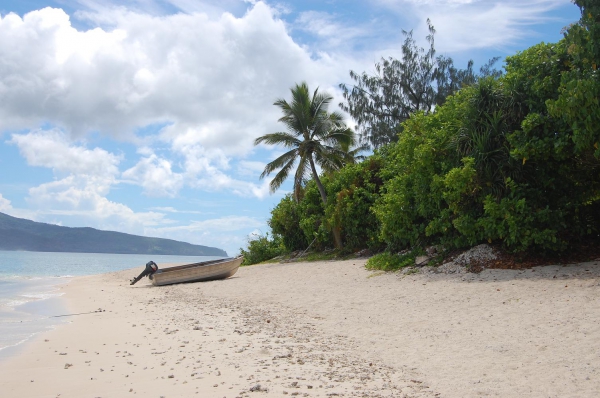 Zdjęcie z Vanuatu - 