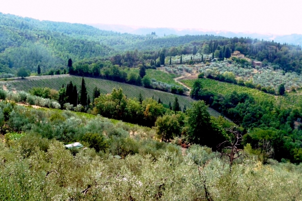 Zdjęcie z Włoch - Chianti