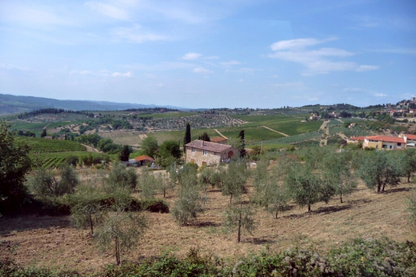 Zdjęcie z Włoch - Chianti