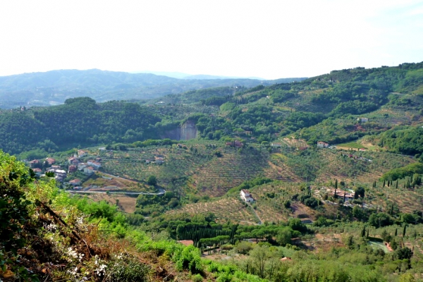 Zdjęcie z Włoch - Region Chianti
