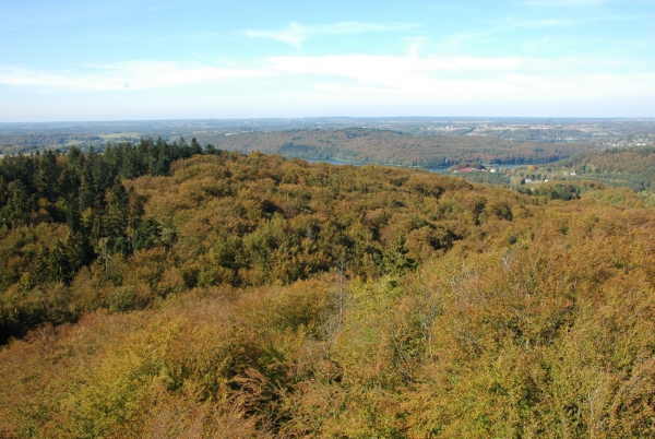 Zdjęcie z Polski - Panorama z Wieżycy