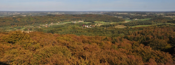 Zdjęcie z Polski - Panorama z Wieżycy