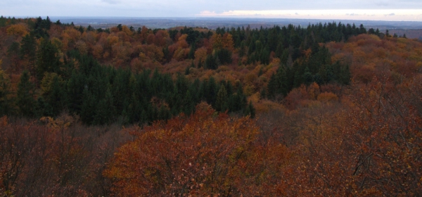 Zdjęcie z Polski - Panorama z Wieżycy