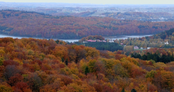 Zdjęcie z Polski - Panorama z Wieżycy