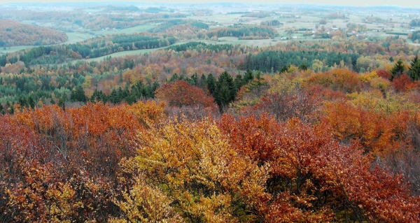 Zdjęcie z Polski - Panorama z Wieżycy