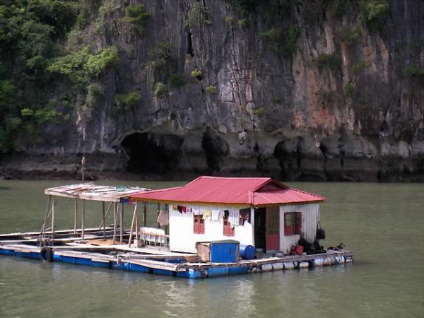 Zdjęcie z Wietnamu - halong bay