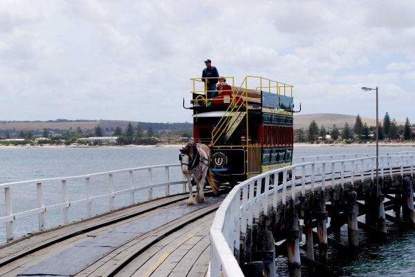 Zdjęcie z Australii - Tramwaj konny