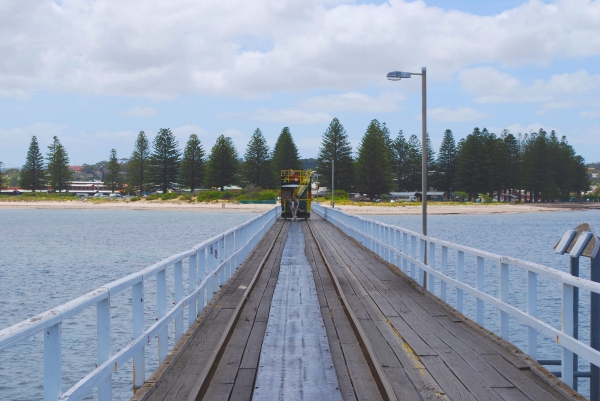 Zdjęcie z Australii - Tramwaj konny