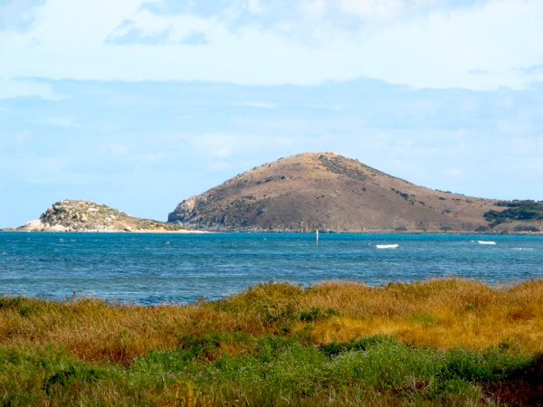 Zdjęcie z Australii - Wzgorze The Bluff