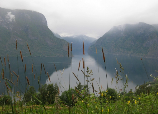 Zdjęcie z Norwegii - Sognefjord