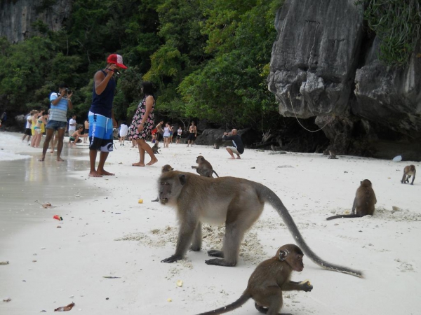 Zdjęcie z Tajlandii - Monkey beach-Phi Phi