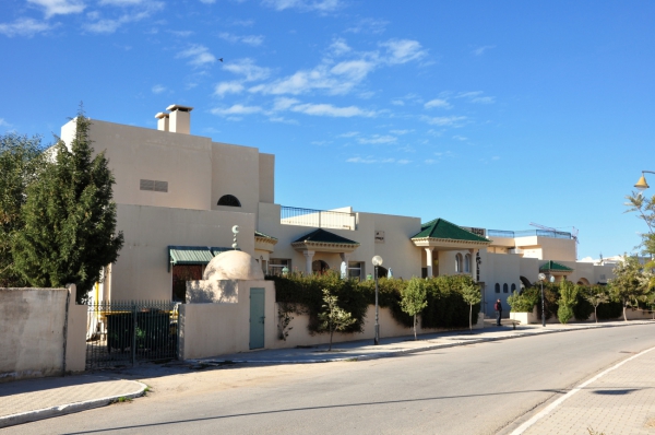 Zdjęcie z Tunezji - Nowy Hammamet