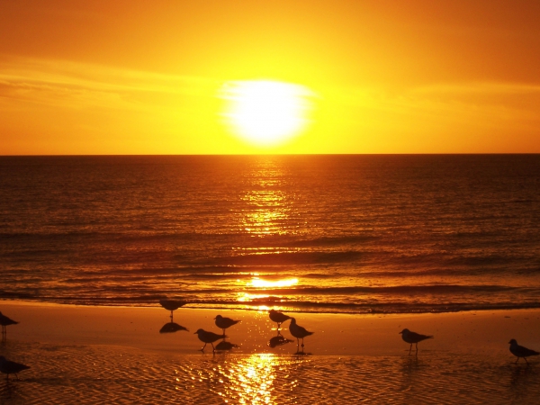 Zdjęcie z Australii - Plaza Noarlunga Beach