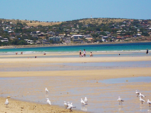 Zdjęcie z Australii - Plaza Brighton Beach