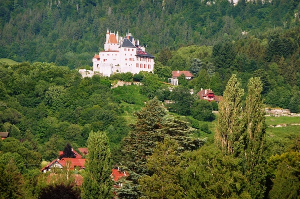 Zdjęcie z Francji - 