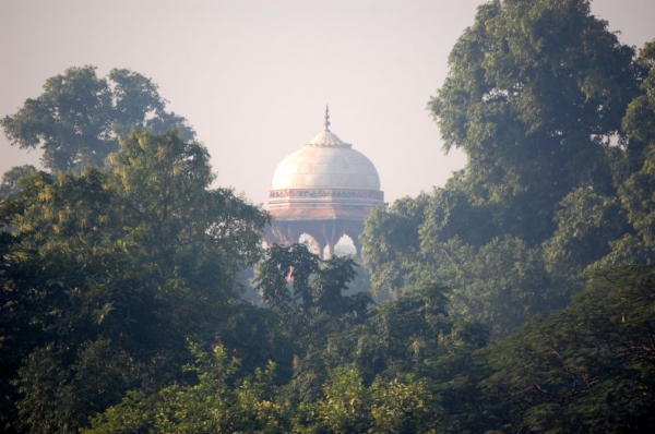 Zdjęcie z Indii - Agra- tereny Taj Mahal