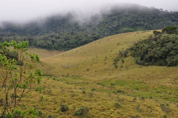 Zdjęcie ze Sri Lanki - Horton Plains