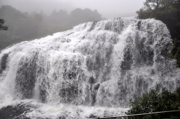 Zdjęcie ze Sri Lanki - Horton Plains