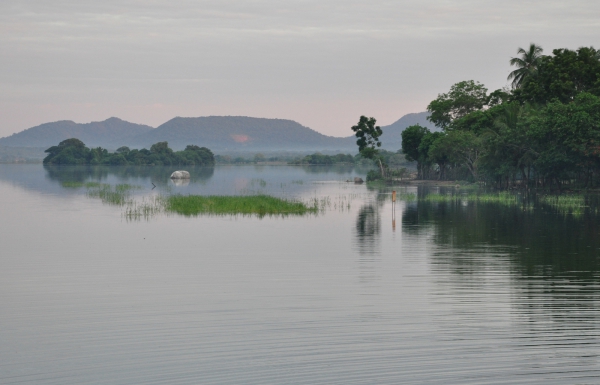 Zdjęcie ze Sri Lanki - 
