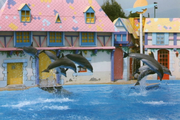 Zdjęcie z Francji - Aquapark w Antibes